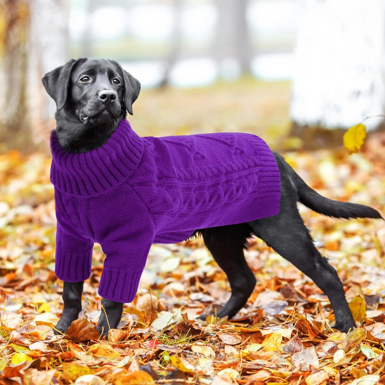 ASENKU Knitted Dog Sweater, Big Winter Pullover, Turtleneck, Warm Pet Outfit for Large & Medium Dogs, Boys & Girls