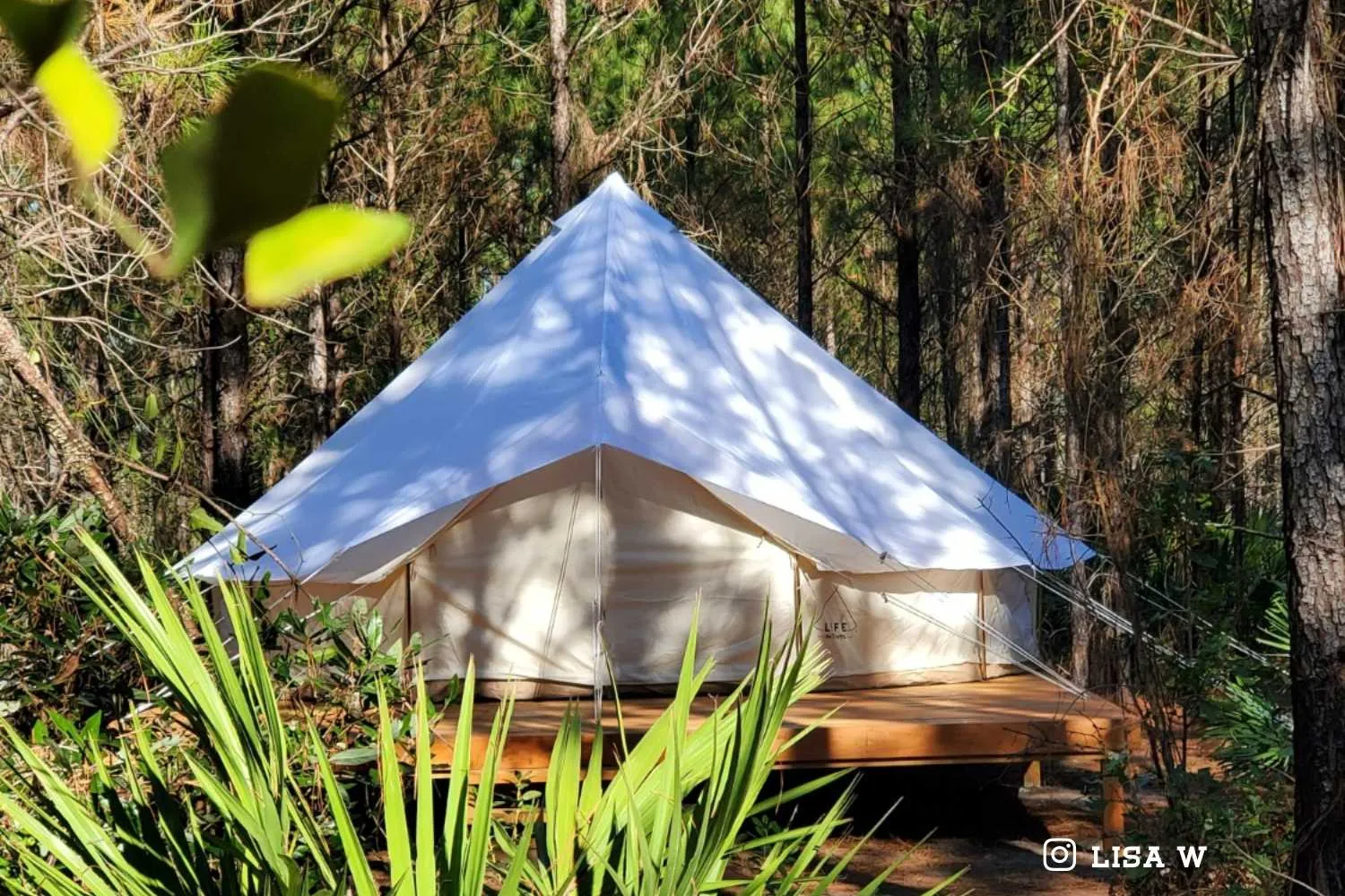 Bell Tent Fly Cover Shield | 6M (19.5 ft)