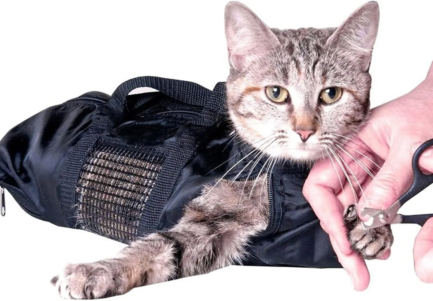 Cat Carrier Grooming Bag, Pet Carrier Grooming Bags for Washing, Bathing, Nail Trimming, Mesh Cat Bathing Bag with Interior Pockets, Water-Resistant Nylon Pet Bag Pet Supply