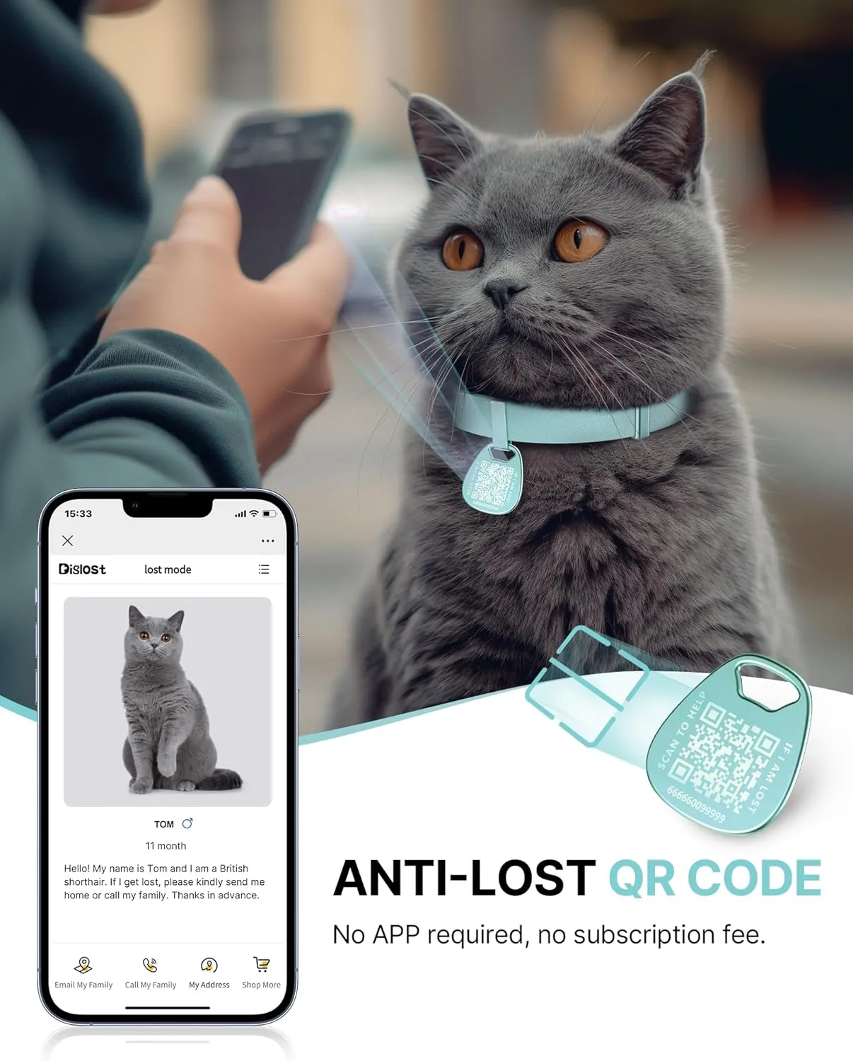 Cat Collar with Name Tag Breakaway: Reflective Kitten Collars with QR Code ID Tag for Girl Boy Cats, Ultra Soft & Elastic Adjustable (6"-12") Cat Collar with Break Away Safety Buckle, Mint Green