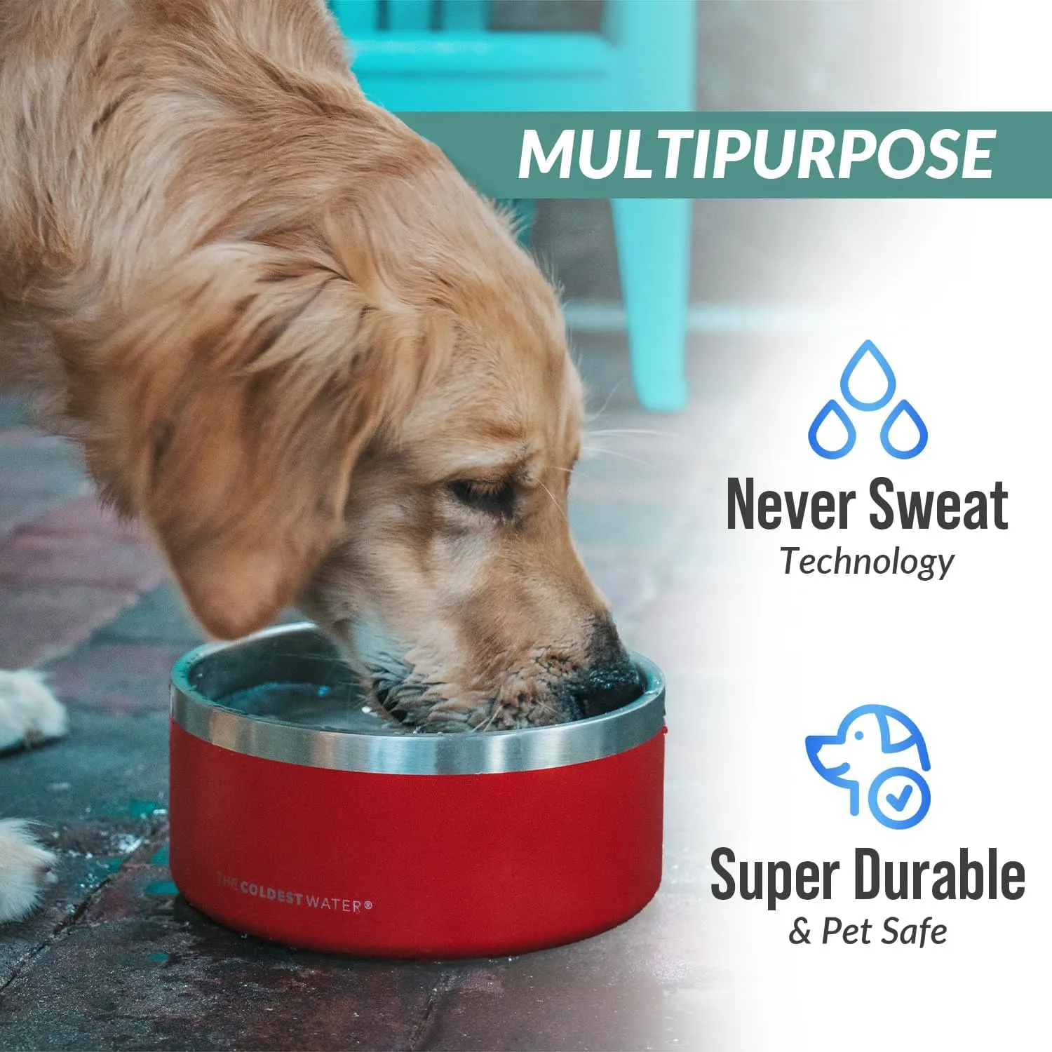 Coldest Dog Bowl - Anti Rust Metal, Non Slip, 3 Layers Insulated Stainless Steel Dog Bowls - Spill Proof & Heavy Duty - Water Bowl for Dogs, Cats & Pets, Dish Washer Safe (21 oz, Solar Yellow)
