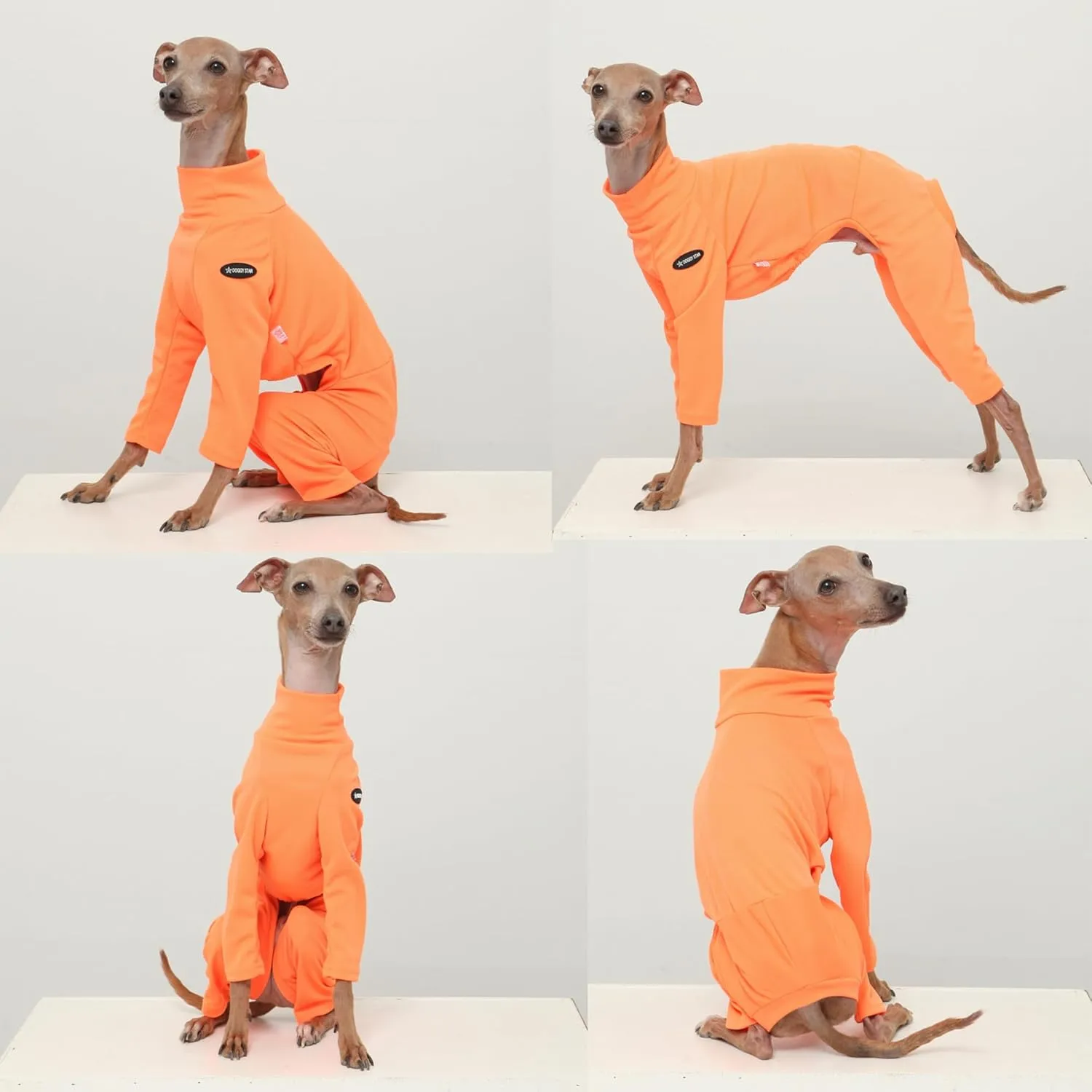 D Doggy Star Italian Greyhound Clothes Strechy Neon Onsie Spring Summer (M,Onsi Ne Orange)