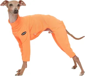 D Doggy Star Italian Greyhound Clothes Strechy Neon Onsie Spring Summer (M,Onsi Ne Orange)