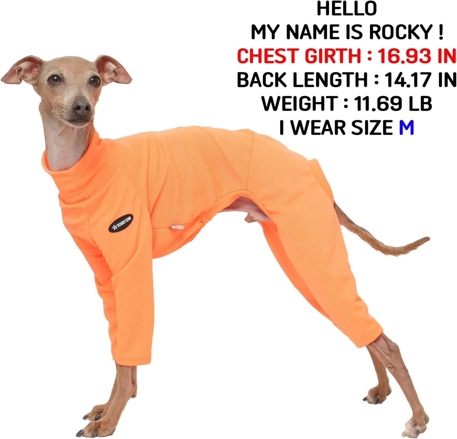 D Doggy Star Italian Greyhound Clothes Strechy Neon Onsie Spring Summer (M,Onsi Ne Orange)