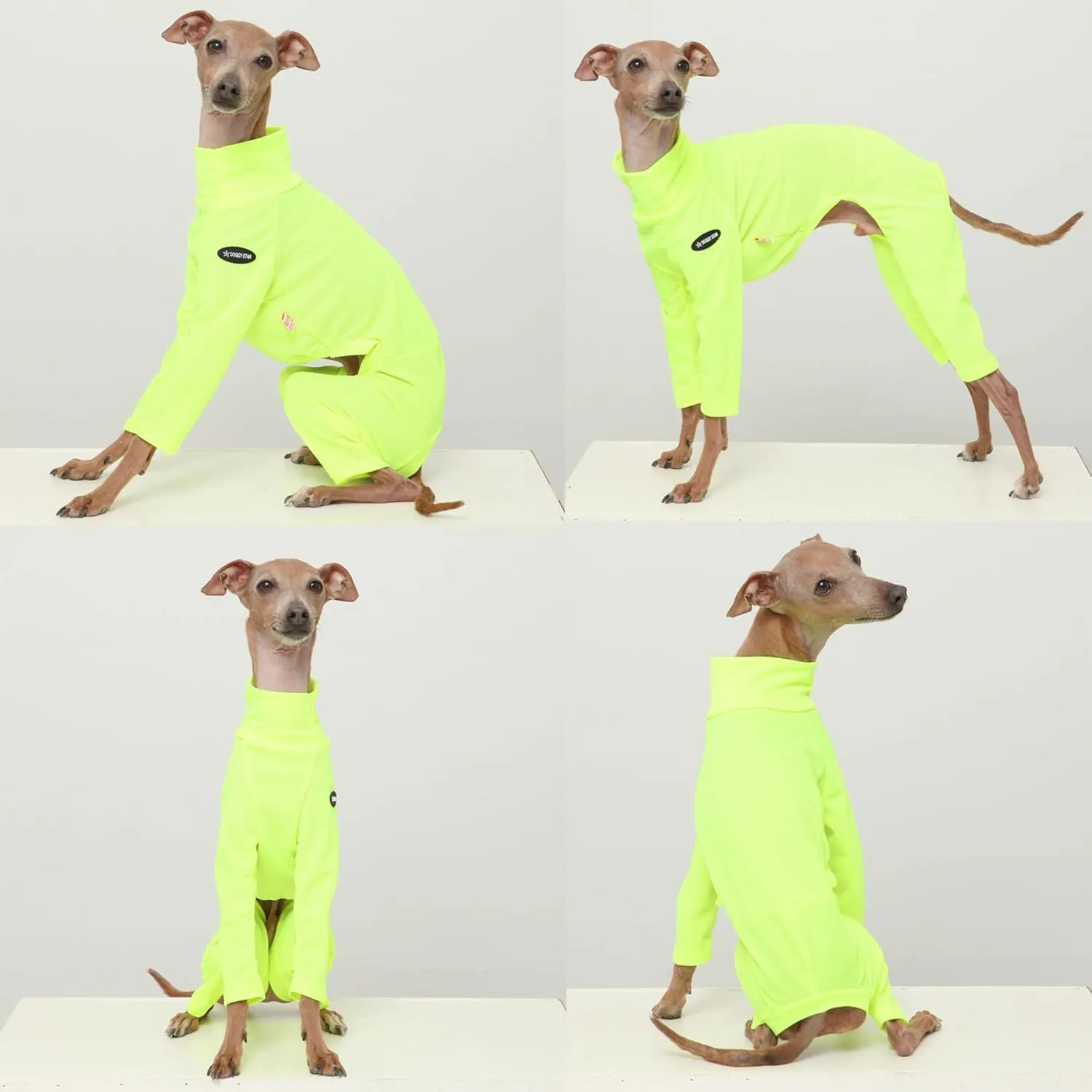 D Doggy Star Italian Greyhound Clothes Strechy Neon Onsie Spring Summer (M,Onsi Ne Yellow)