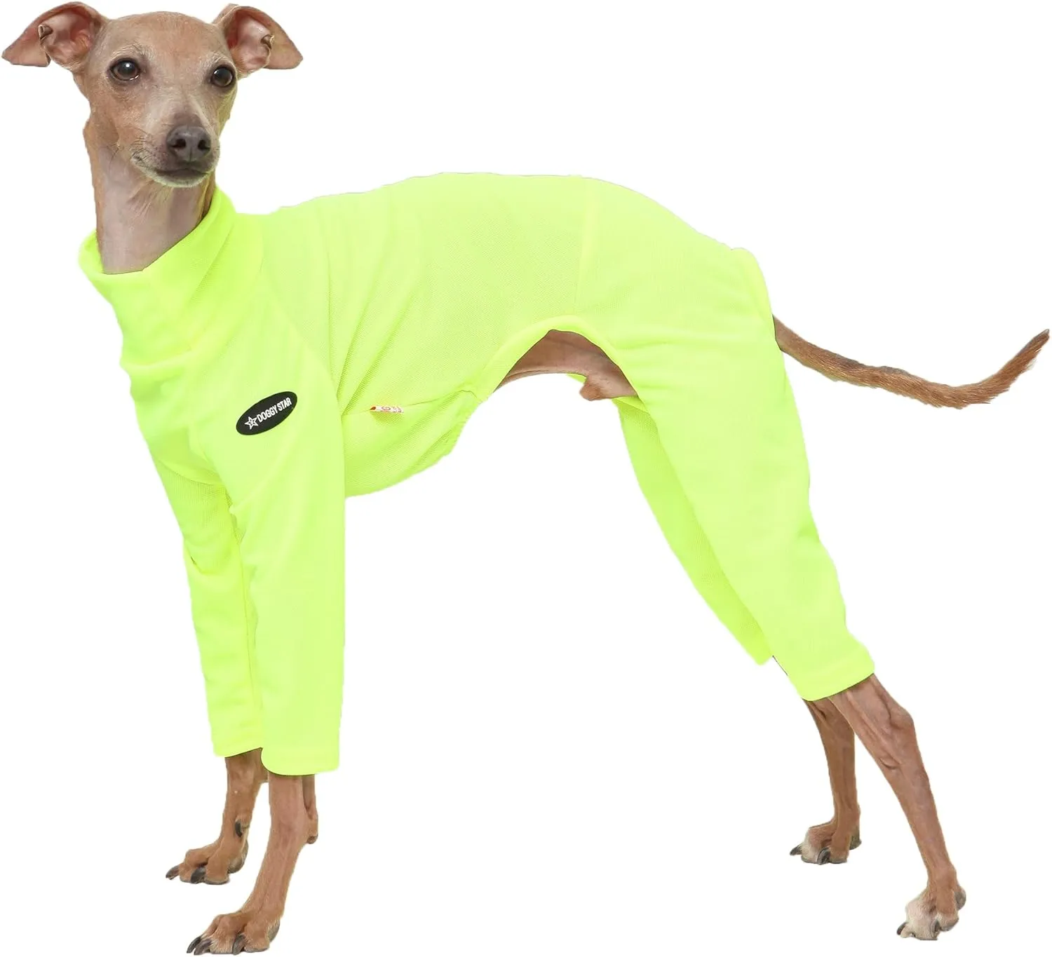 D Doggy Star Italian Greyhound Clothes Strechy Neon Onsie Spring Summer (M,Onsi Ne Yellow)