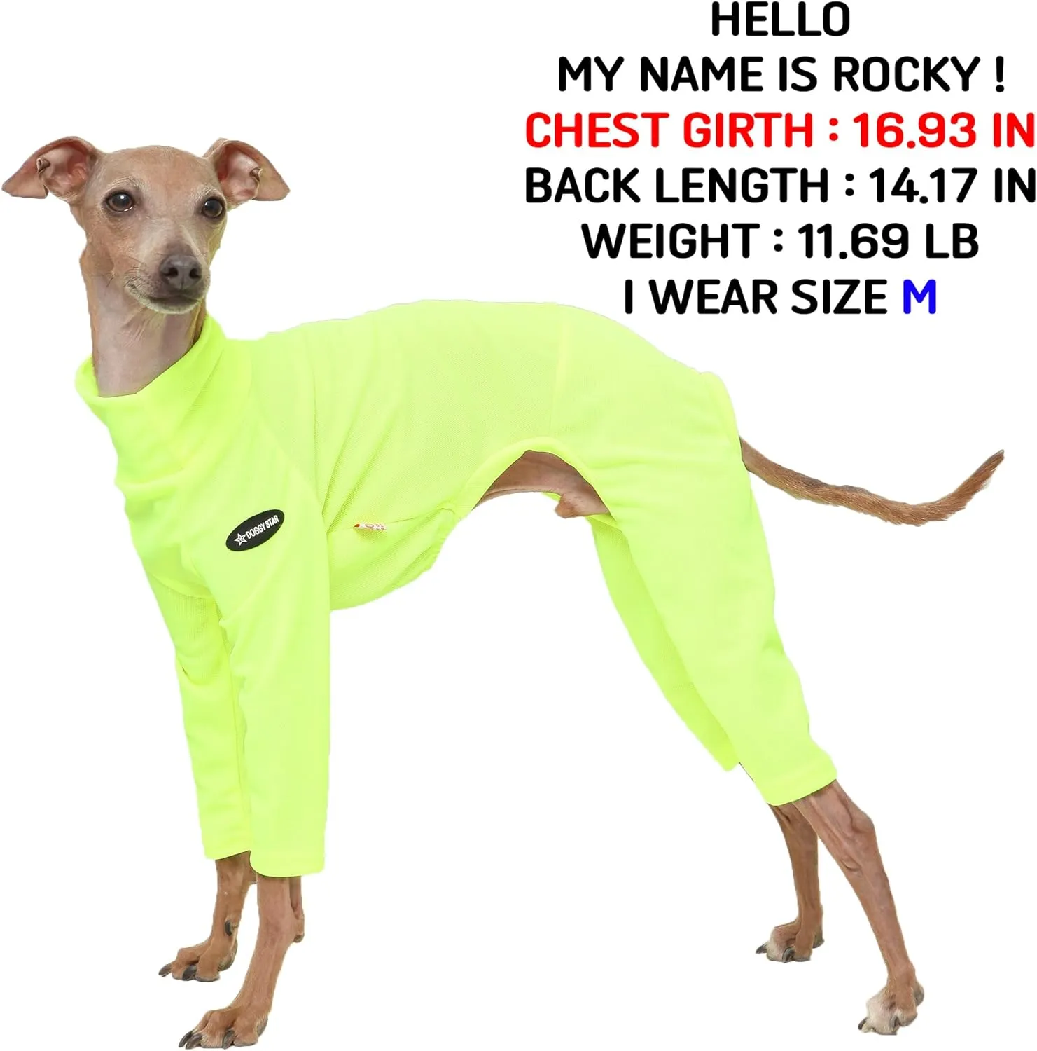 D Doggy Star Italian Greyhound Clothes Strechy Neon Onsie Spring Summer (M,Onsi Ne Yellow)