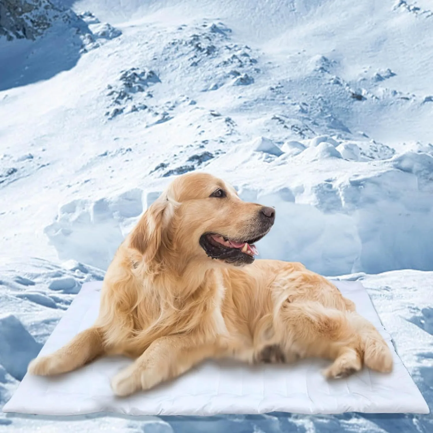 Dog Cooling Mat, Cooling Pad Reversible (Cool & Warm), Pet Cool Mats for Dog and Cat use in Crate, Kennel, Bed, Sofa, Machine Washable, Durable, Non-Gel (X-Large)