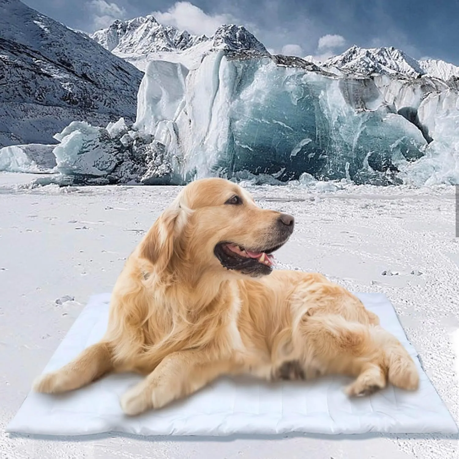 Dog Cooling Mat, Cooling Pad Reversible (Cool & Warm), Pet Cool Mats for Dog and Cat use in Crate, Kennel, Bed, Sofa, Machine Washable, Durable, Non-Gel (X-Large)