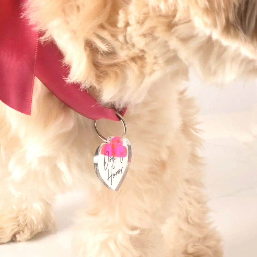 Dog of Honor Pet Tag, Wedding