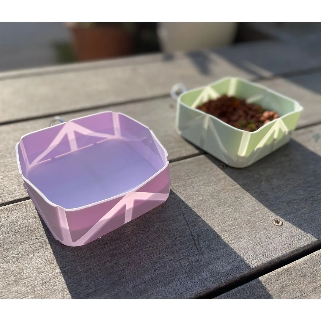 Foldable Pocket Size Pet Food and Water Bowl by Tilley   Me