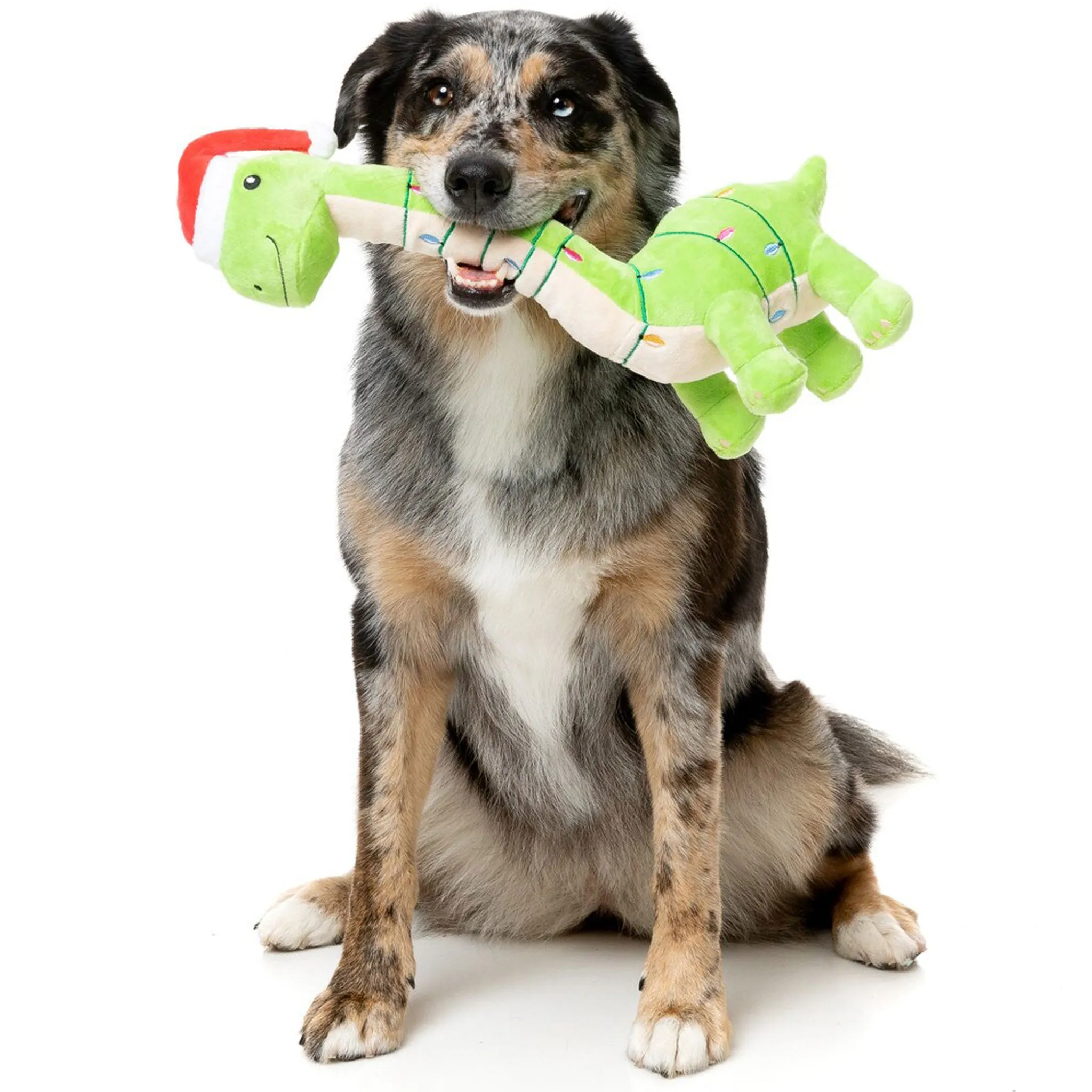 Fuzzyard Lit-a-Saurus Dog Toy