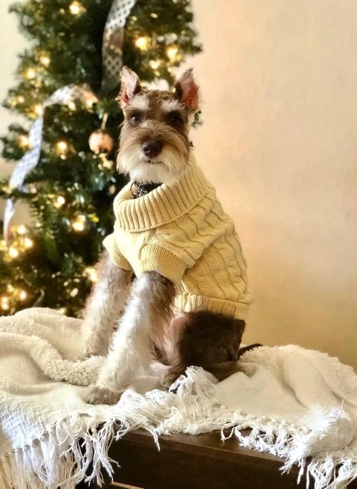 HAPEE Dog Sweater, Small, Beige, Classic Style, Stretchable, Winter, Hand Wash