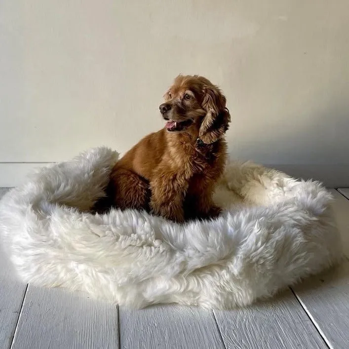 Irish Sheep Wool Pet Bed (Multiple Sizes)