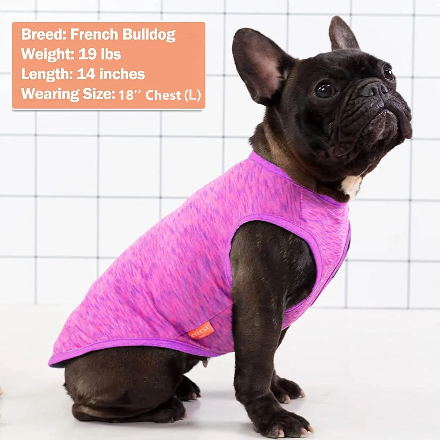 KYEESE 2 Pack Dog Shirts Quick Dry Soft Stretchy Pet T-Shirts with Reflective Label Tank Top Sleeveless Vest Sun Protection Dog Clothes for Small Medium Dogs, Small, Purple Pink