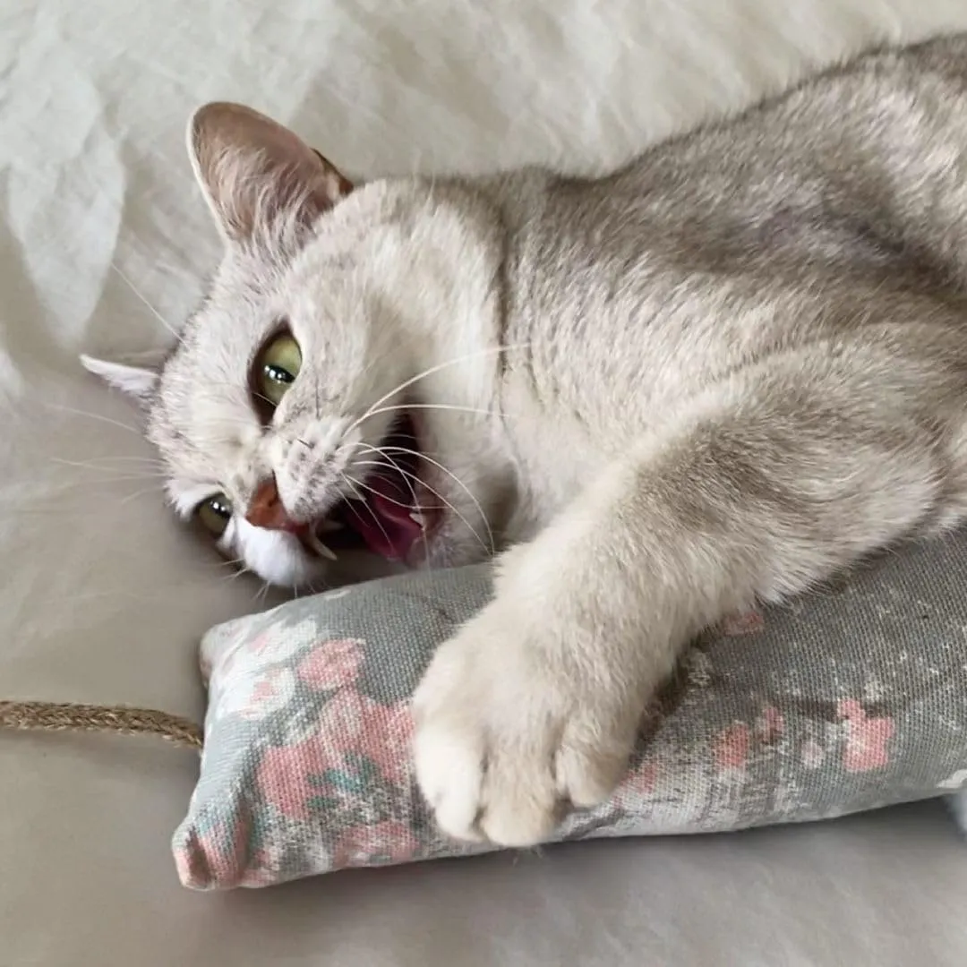 Meowy Janes Tough Canvas Cat Kicker Toy, Stuffed with 100% Catnip (1/4 LB), Original, Super Potent Canadian Catnip! | All Natural Large Size 10" Kitty Kicker (Burrito)