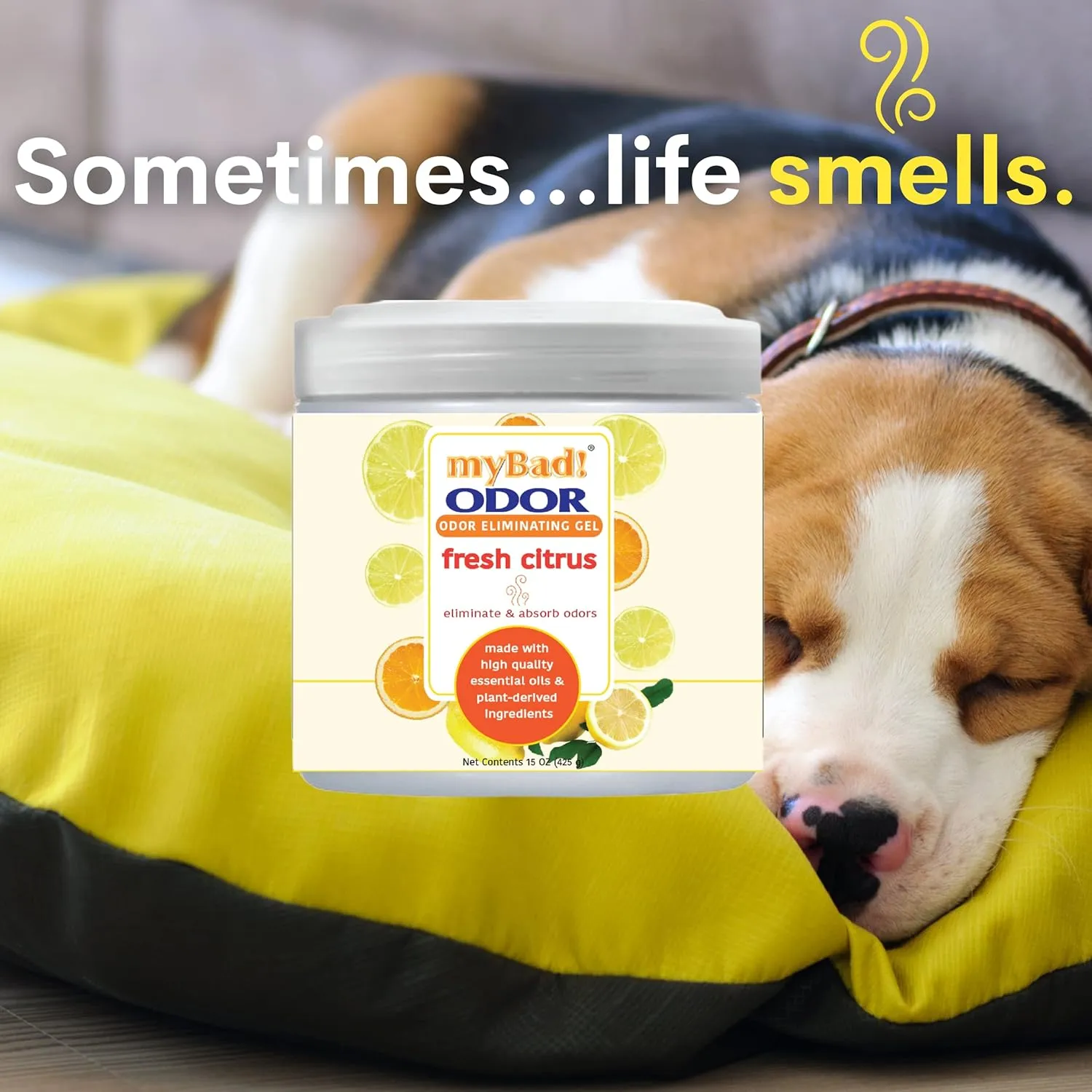 Odor Eliminator Essential Oil Gel 15 oz - Air Freshener - Eliminates Odors in Bathroom, Pet Area, Closets, RVs, Pet Areas (Fresh Citrus, 2 Pack)