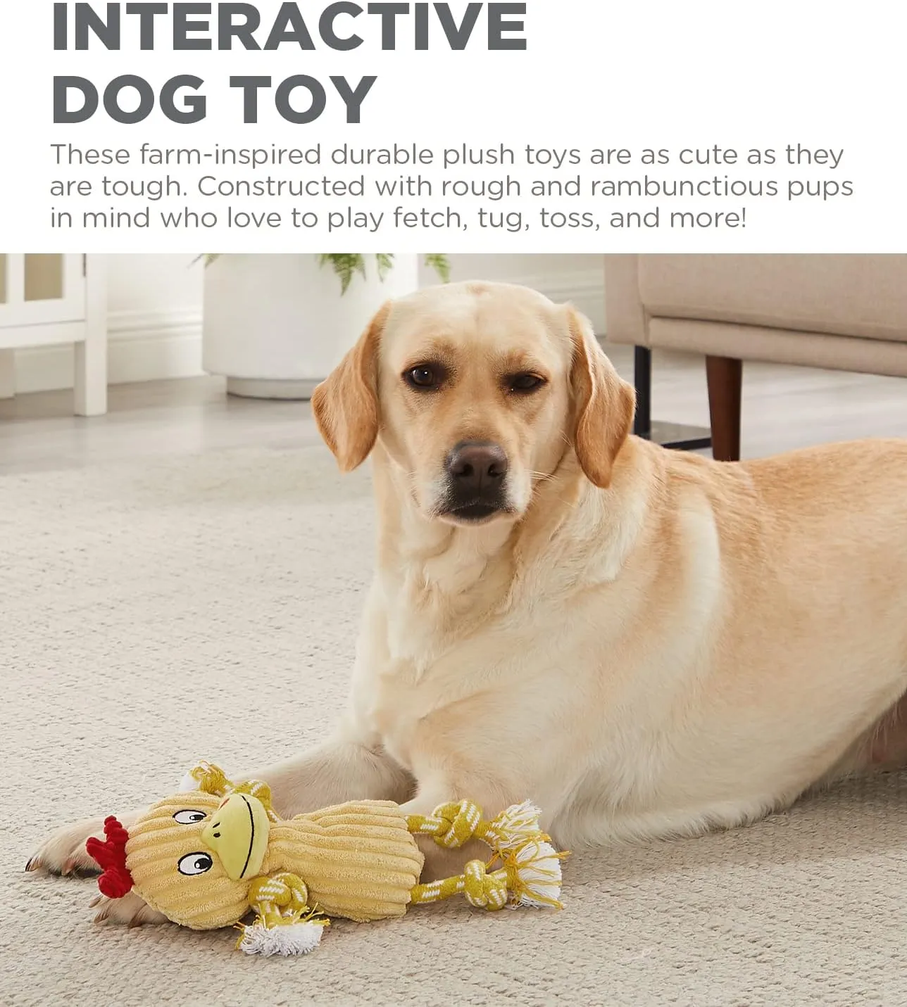 Outward Hound Ranch Roperz Chicken Plush Squeaky Dog Toy