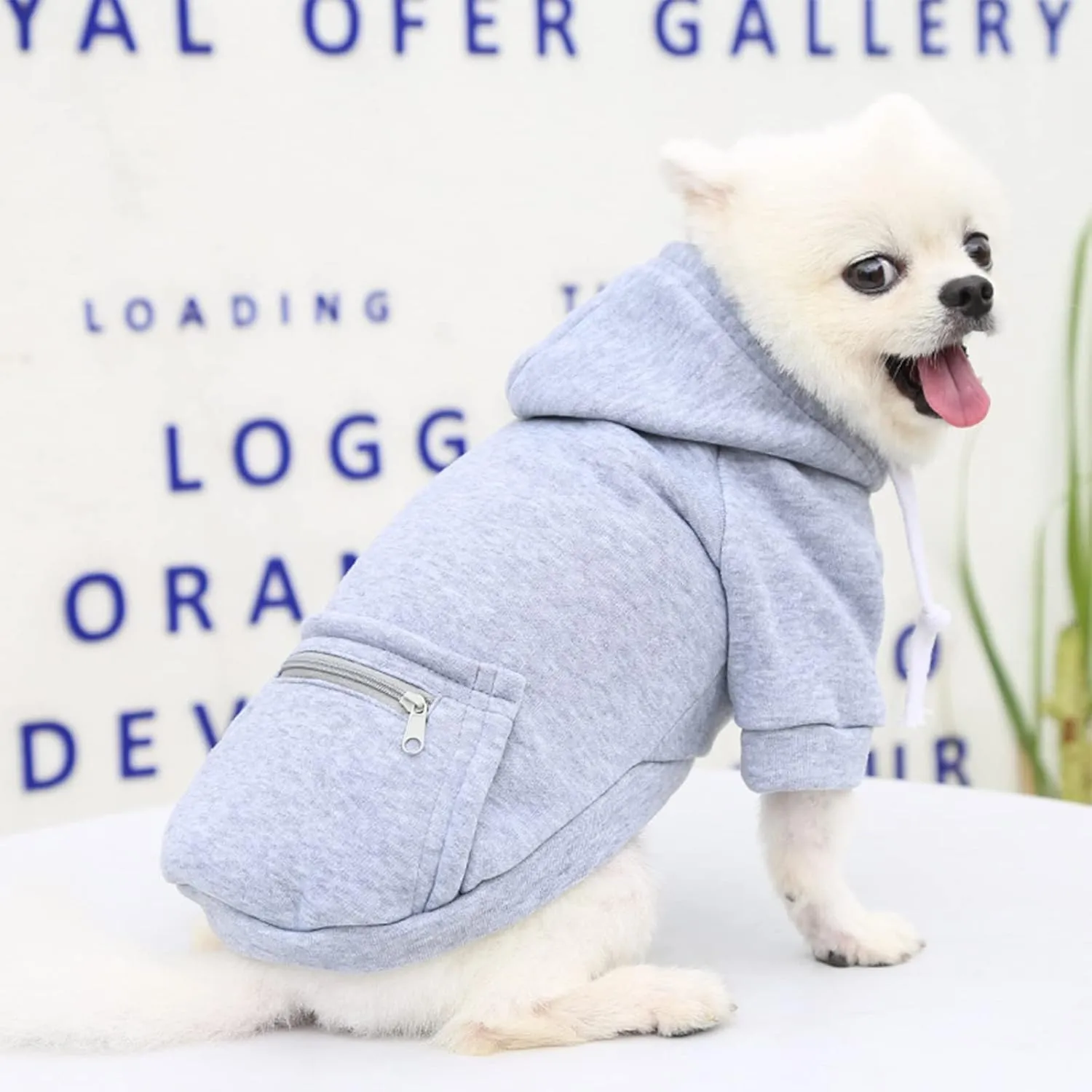 PETCARE Dog Hoodies Pet Small Dog Sweater Grey Warm Soft Fleece Sweatshirts with Pocket Winter Puppy Cat Sweaters Hooded Clothes for Small Dogs Chihuahua Outfits Yorkies French Bulldog Costume