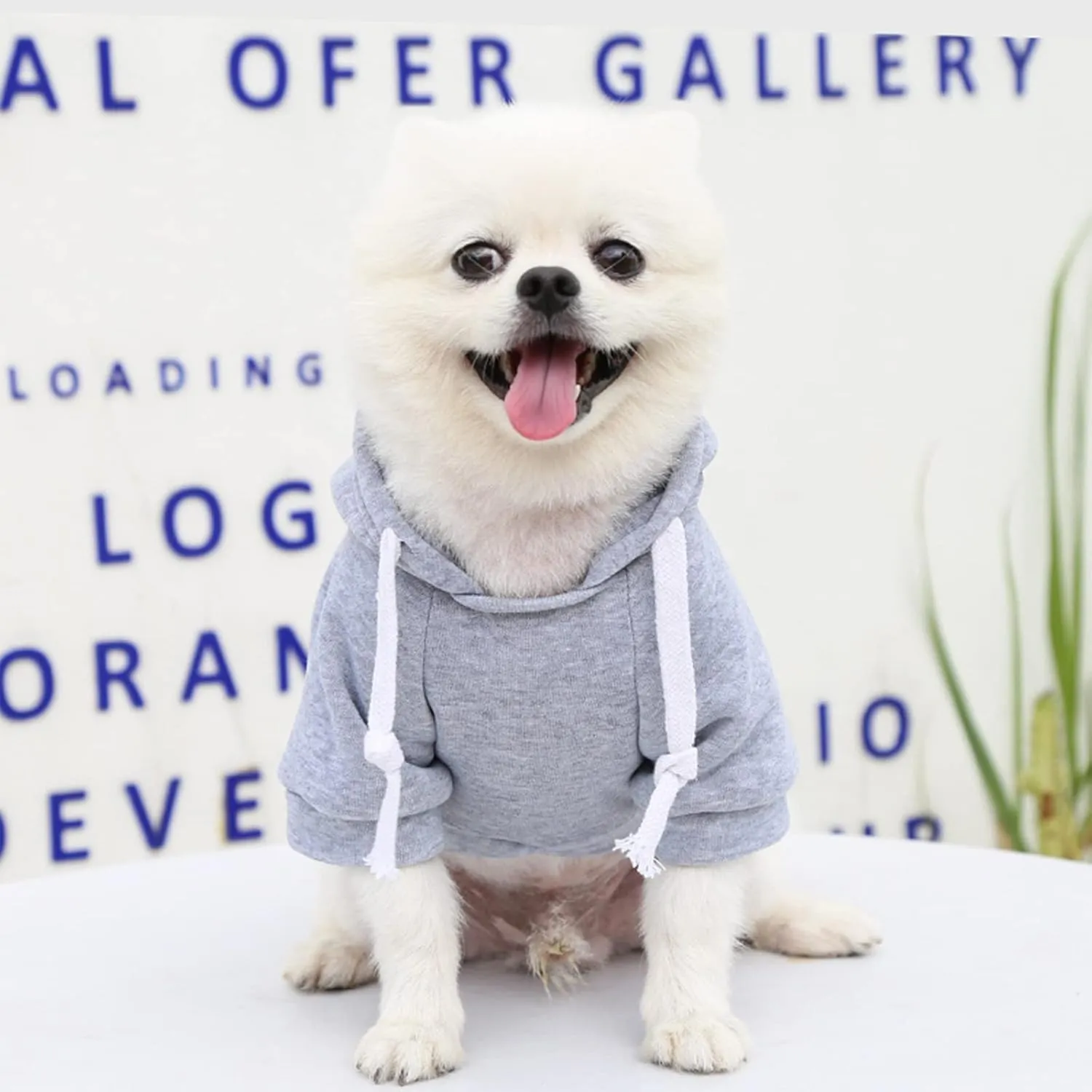 PETCARE Dog Hoodies Pet Small Dog Sweater Grey Warm Soft Fleece Sweatshirts with Pocket Winter Puppy Cat Sweaters Hooded Clothes for Small Dogs Chihuahua Outfits Yorkies French Bulldog Costume