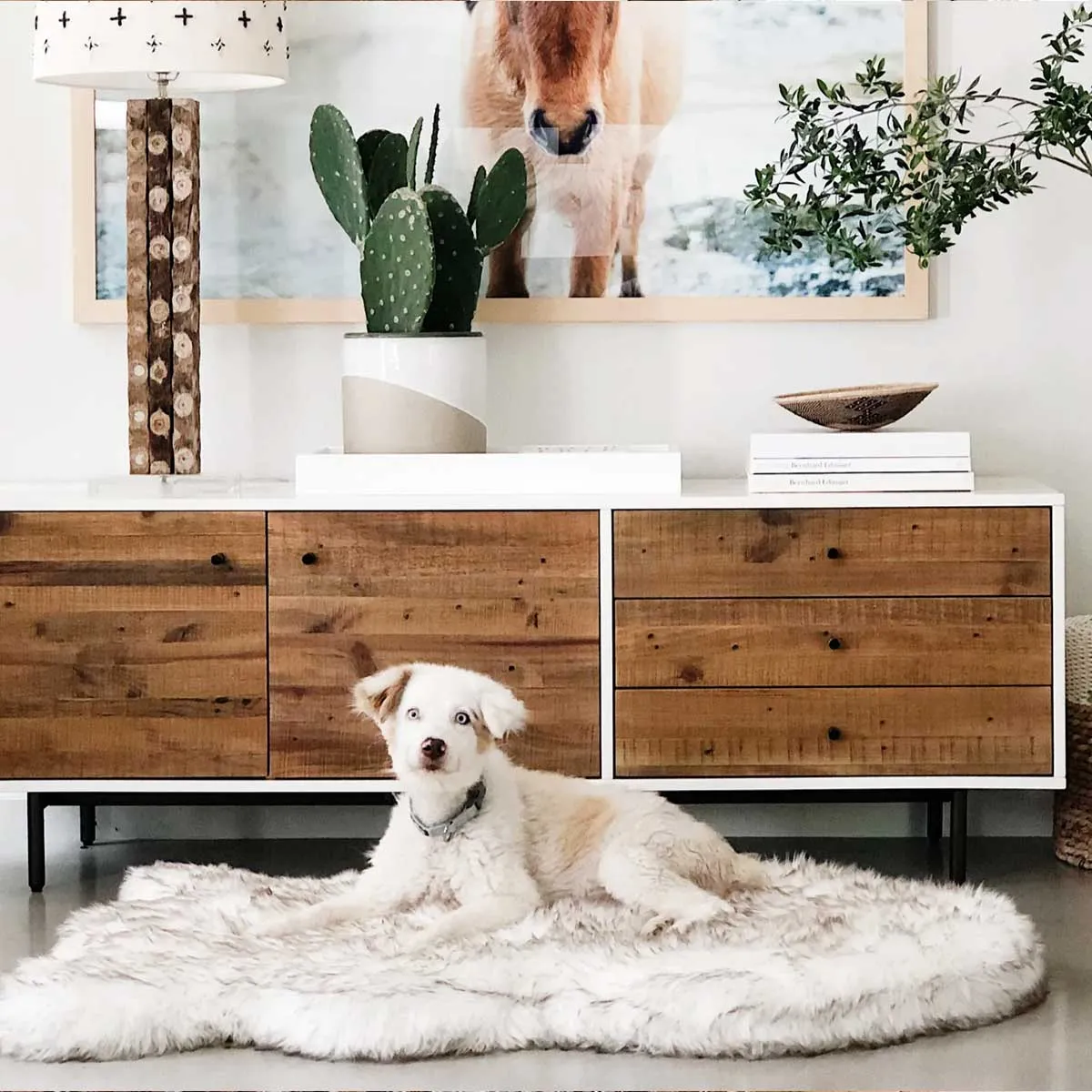 PupRug Faux Fur Curved Orthopedic Pet Bed - White with Brown Accents