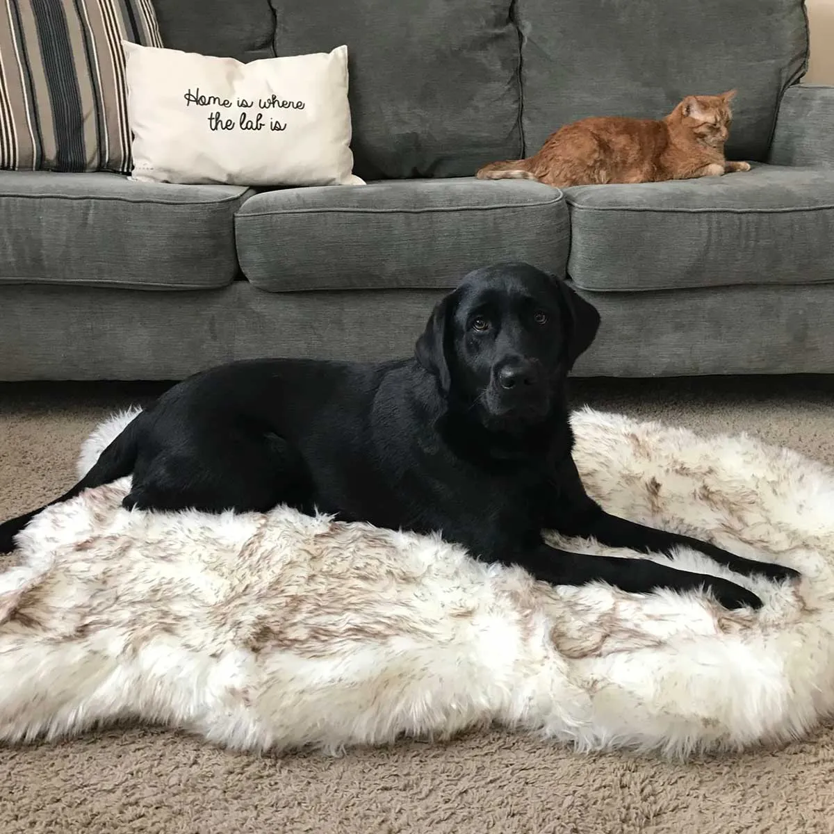 PupRug Faux Fur Curved Orthopedic Pet Bed - White with Brown Accents