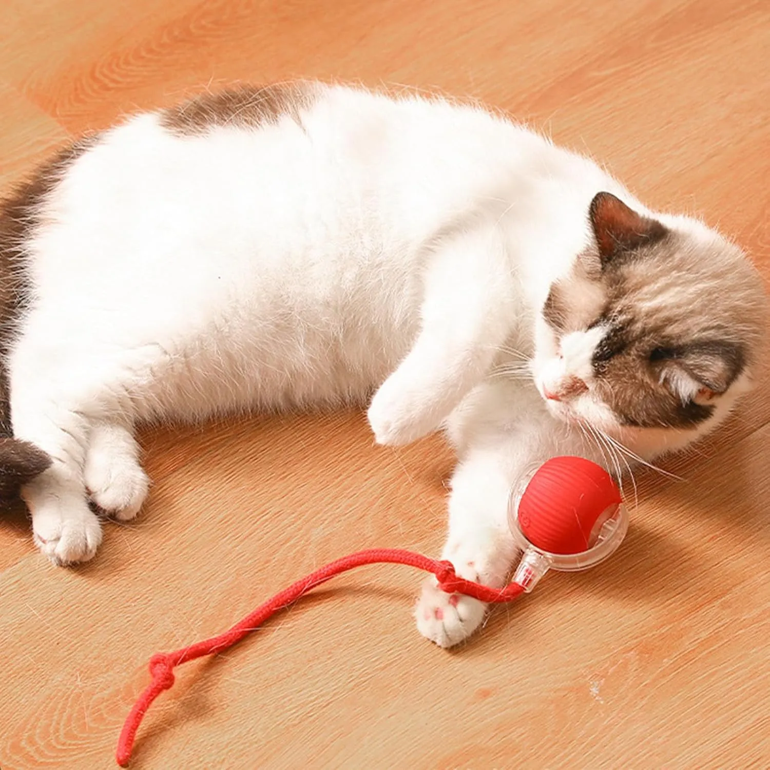Rollie Pet Interactive Smart Cat & Dog Toy, Motion Activated 360 Electric Rolling Ball for Large & Small Pets (Green-B)