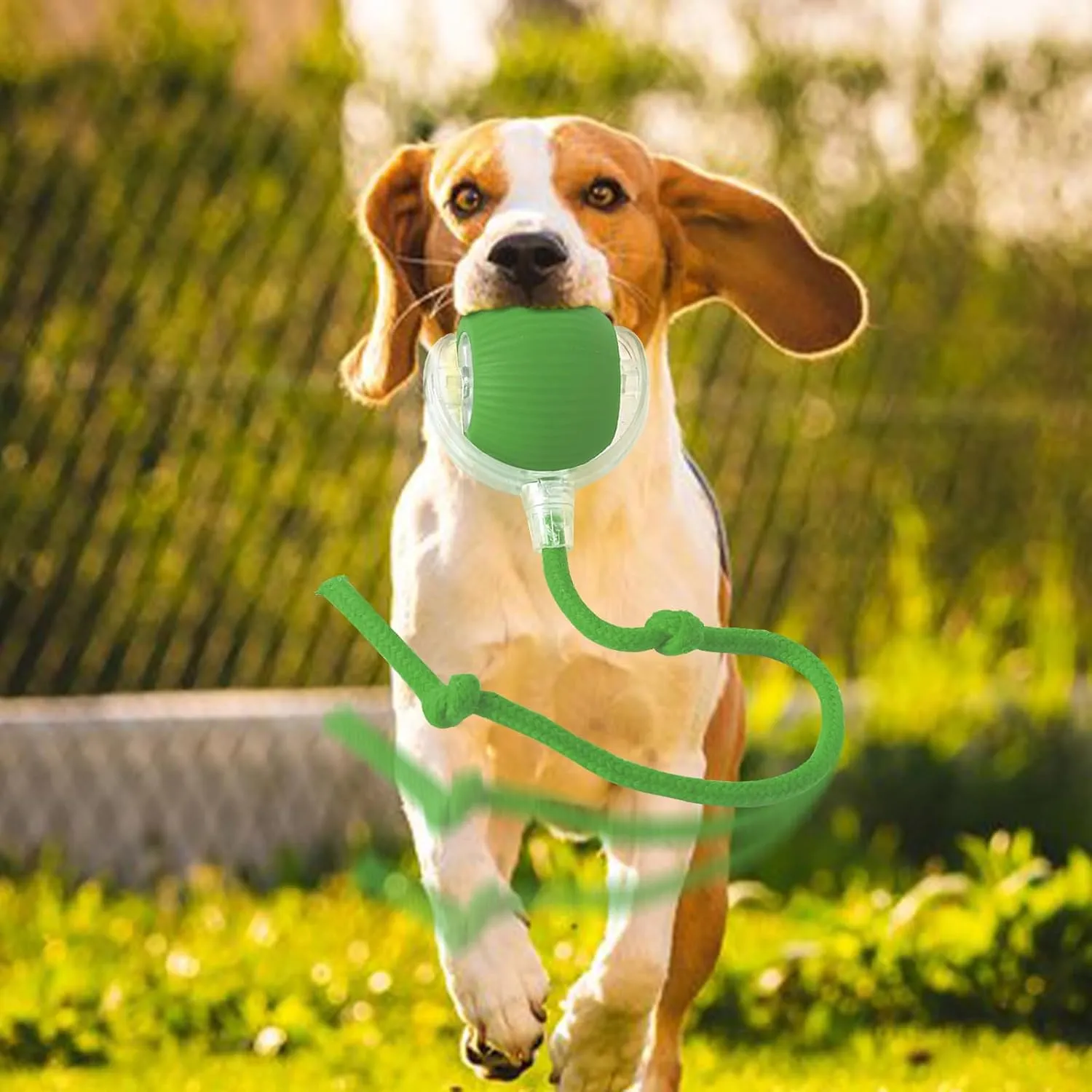 Rollie Pet Interactive Smart Cat & Dog Toy, Motion Activated 360 Electric Rolling Ball for Large & Small Pets (Green-B)