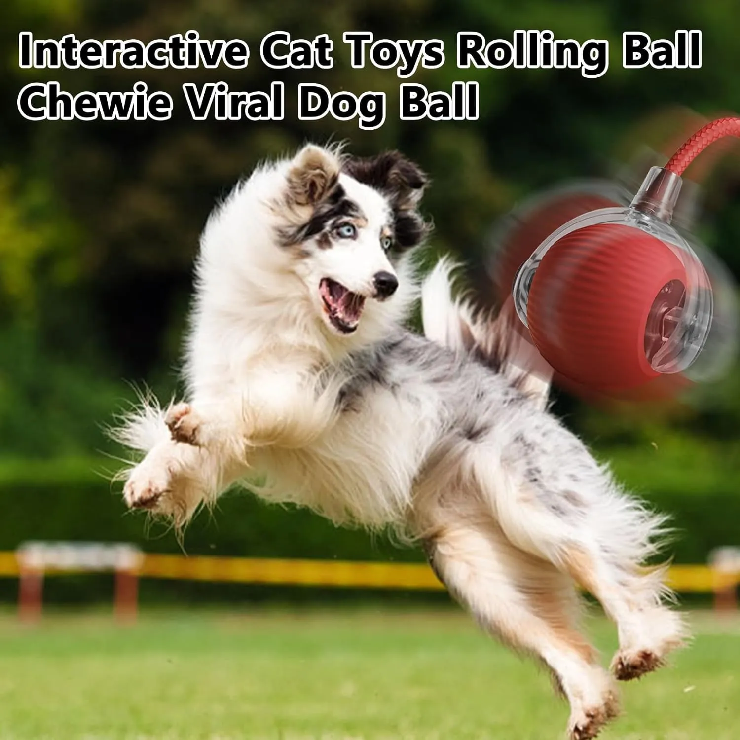 Rollie Pet Interactive Smart Cat & Dog Toy, Motion Activated 360 Electric Rolling Ball for Large & Small Pets (Green-B)