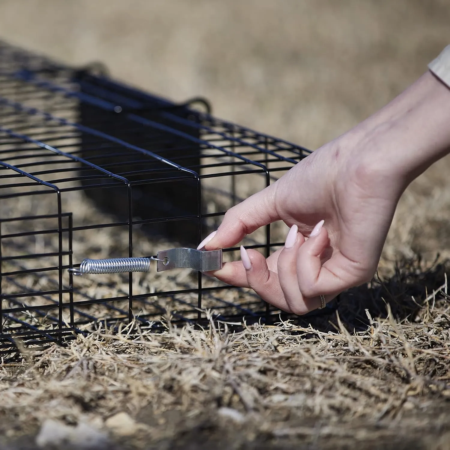 Rugged Ranch Squirrel Trap, Live Animal Catch & Release Cage, Squirrelinator