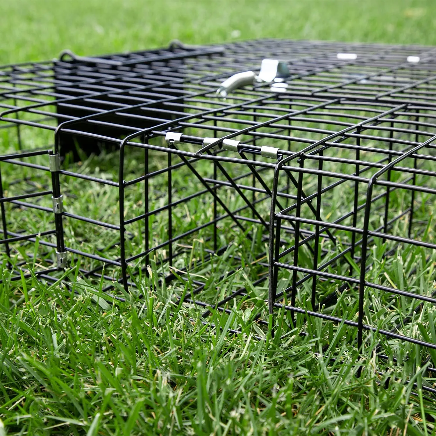 Rugged Ranch Squirrel Trap, Live Animal Catch & Release Cage, Squirrelinator