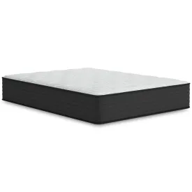 Sierra Sleep Palisades Firm M41511 Twin Mattress