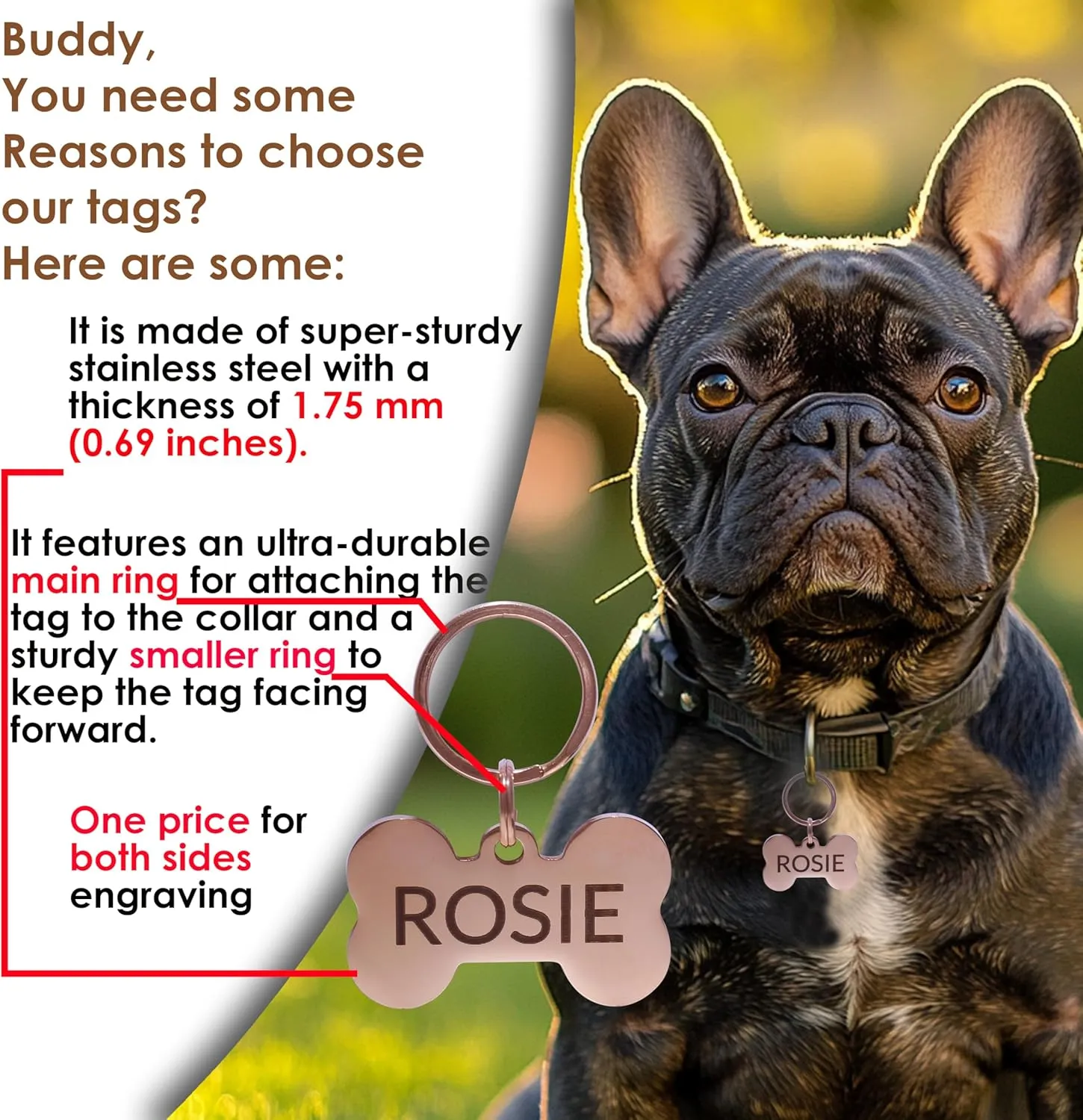 Stainless Steel Dog & Cat Tags - Personalized Pet ID Tags, Engraved on Both Sides - Bone, Heart & Round-Shaped (Bone, Small)